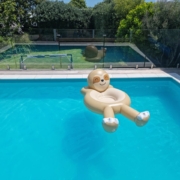 Modern Pool Fencing