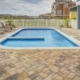 Pool Fence